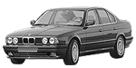 BMW E34 P20F0 Fault Code